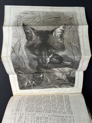 Arthur's Lady's Home Magazine, Vol. XXXIX, January-June 1872