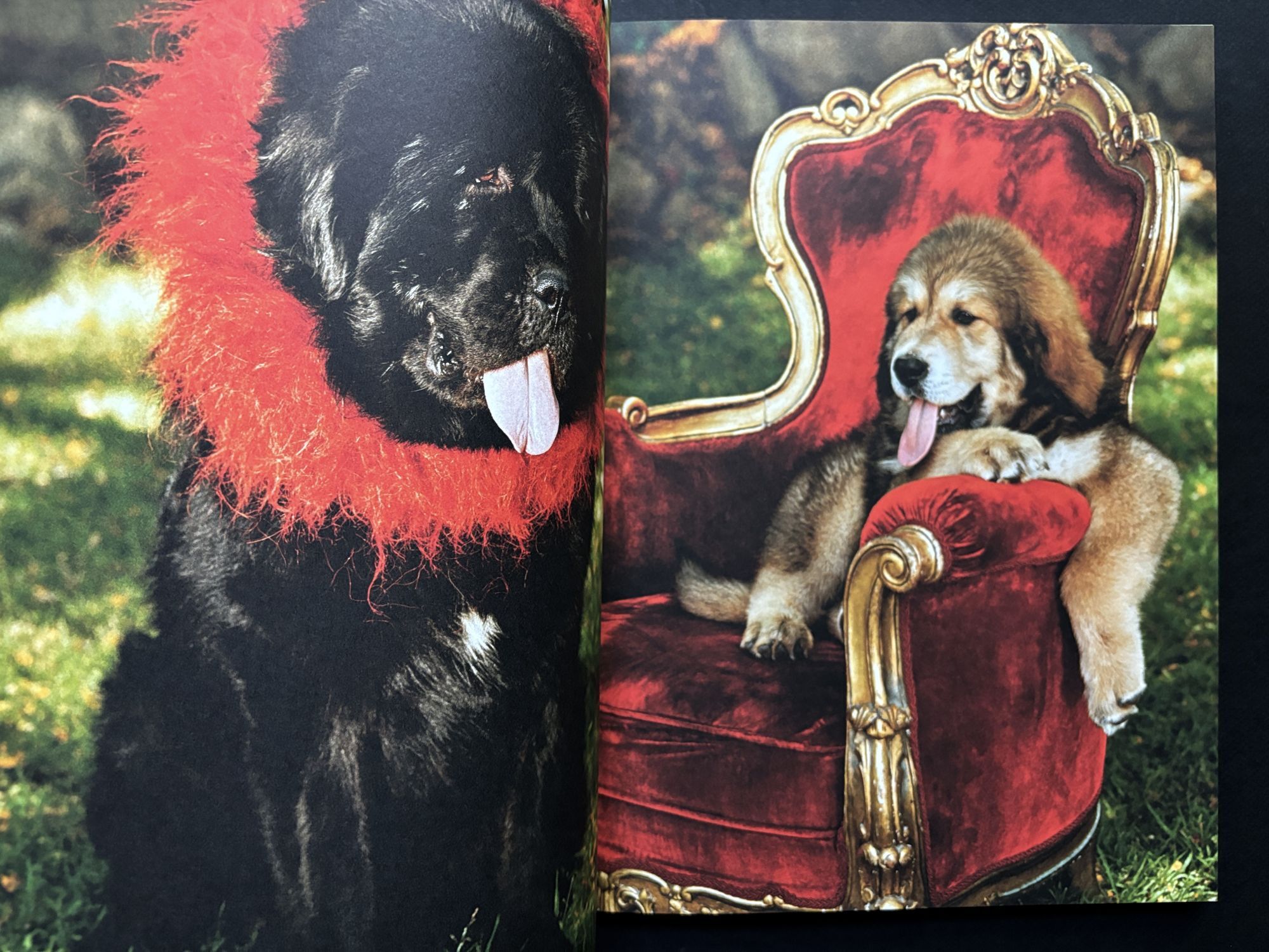 All American XIV: Affairs of the Heart | Bruce Weber | First Printing