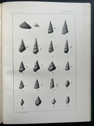 Conemaugh Formation in Ohio (Geological Survey of Ohio Fourth Series Bulletin 17)