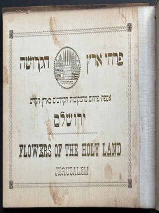 Flowers of the Holy Land, Jerusalem ca. 1900 in olive tree boards