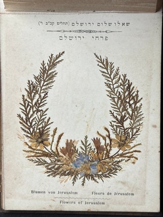 Flowers of the Holy Land, Jerusalem ca. 1900 in olive tree boards