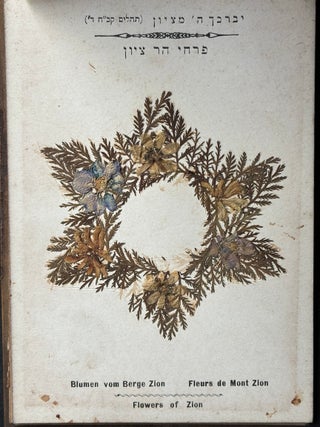 Flowers of the Holy Land, Jerusalem ca. 1900 in olive tree boards