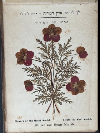 Flowers of the Holy Land, Jerusalem ca. 1900 in olive tree boards