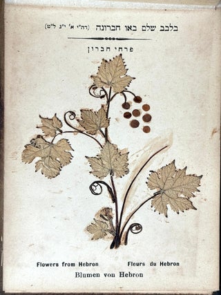 Flowers of the Holy Land, Jerusalem ca. 1900 in olive tree boards
