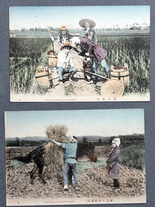 Ca. 1905-1910 The Rice Industry of Japan, 10 postcards hand colored, in envelope
