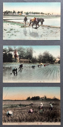 Ca. 1905-1910 The Rice Industry of Japan, 10 postcards hand colored, in envelope