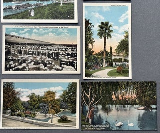 15 color postcards of Texas ca. 1910s -- El Paso, San Antonio, Houston, etc.