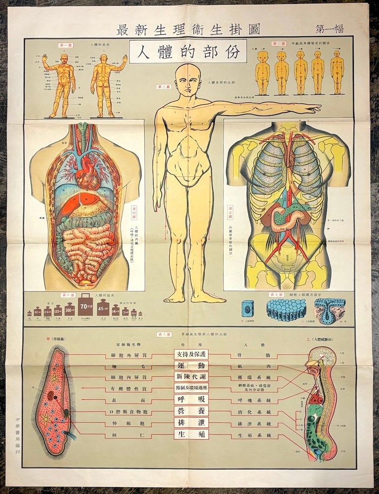 Item #H39484 Set of 6 large color 1950s-60s Chinese health, physiology & hygiene posters: Zu&igrave;xin shengli weisheng guatu