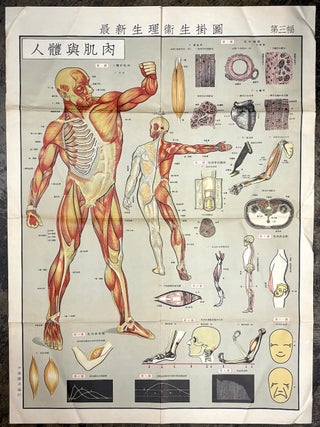 Set of 6 large color 1950s-60s Chinese health, physiology & hygiene posters: Zu&igrave;xin shengli weisheng guatu