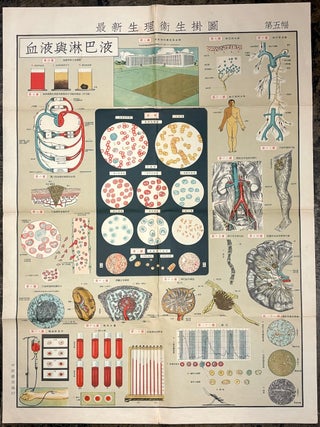 Set of 6 large color 1950s-60s Chinese health, physiology & hygiene posters: Zu&igrave;xin shengli weisheng guatu
