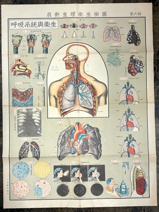 Set of 6 large color 1950s-60s Chinese health, physiology & hygiene posters: Zu&igrave;xin shengli weisheng guatu