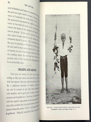 The Cow Pea (1915 booklet promoting it as a crop with suggestions for growth, fertilization, harvesting, etc.)