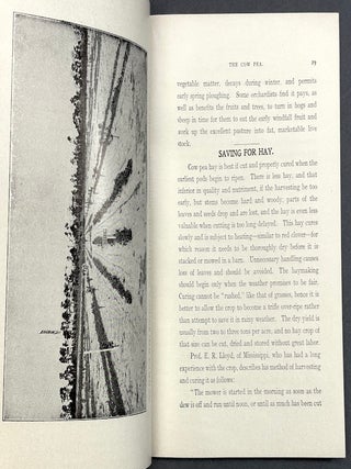 The Cow Pea (1915 booklet promoting it as a crop with suggestions for growth, fertilization, harvesting, etc.)