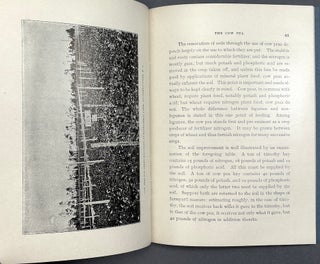 The Cow Pea (1915 booklet promoting it as a crop with suggestions for growth, fertilization, harvesting, etc.)