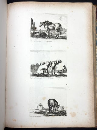 A Collection of Etchings by that Inimitable Artist Stefanino Della Bella, comprising in number one hundred and eighty pieces, and consisting of landscapes, marine views, animals, friezes, ornaments, &c.&c. to which is prefixed a biographical memoir of the artist by Thomas Dodd