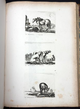 A Collection of Etchings by that Inimitable Artist Stefanino Della Bella, comprising in number one hundred and eighty pieces, and consisting of landscapes, marine views, animals, friezes, ornaments, &c.&c. to which is prefixed a biographical memoir of the artist by Thomas Dodd