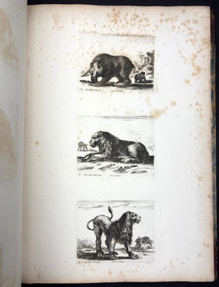 A Collection of Etchings by that Inimitable Artist Stefanino Della Bella, comprising in number one hundred and eighty pieces, and consisting of landscapes, marine views, animals, friezes, ornaments, &c.&c. to which is prefixed a biographical memoir of the artist by Thomas Dodd