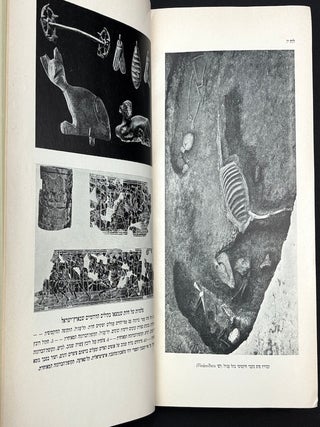 Ha-Hai be-artsot ha-Mikra / Animal Life in Biblical Lands, from the Stone Age to the end of the 19th century