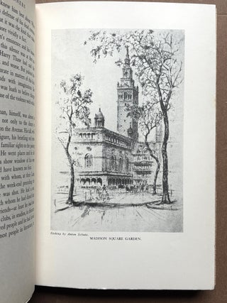 Glamorous Sinners, Stanford White and his Era