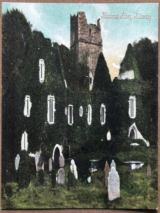 24 early 1900s postcards of Irish and Ireland interest, St. Patrick's Day, views, etc.