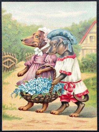 100 early 1900s comedic, humorous & joke postcards
