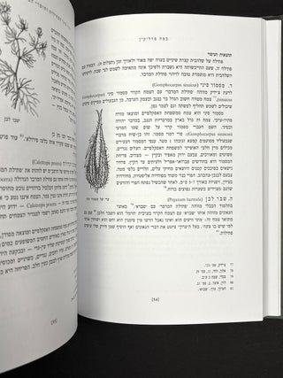 Bamme Madlikin (Hebrew language book on the history and use of Shabbat candles, lighting, oil lamps, etc.)