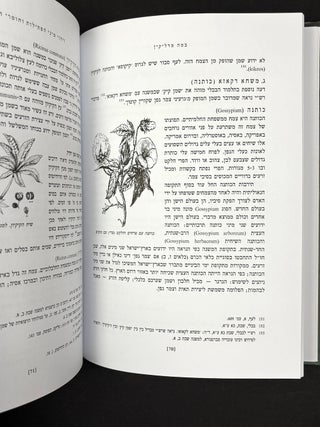 Bamme Madlikin (Hebrew language book on the history and use of Shabbat candles, lighting, oil lamps, etc.)