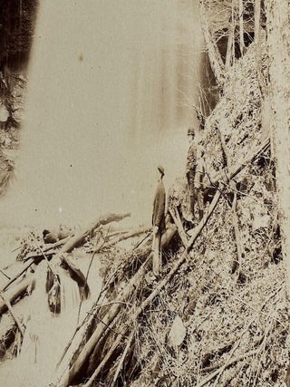 Large 1890s photo of Pennsylvania waterfall