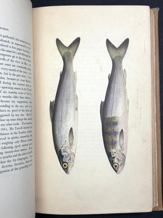 Days and Nights of Salmon Fishing in The Tweed (1843)