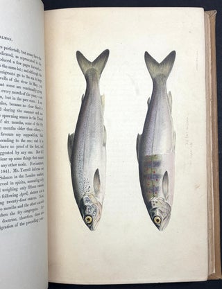 Days and Nights of Salmon Fishing in The Tweed (1843)