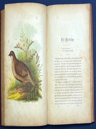 The Birds of the Bible (1854, color lithograph plates)