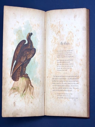 The Birds of the Bible (1854, color lithograph plates)