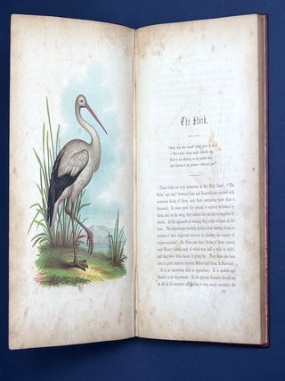 The Birds of the Bible (1854, color lithograph plates)
