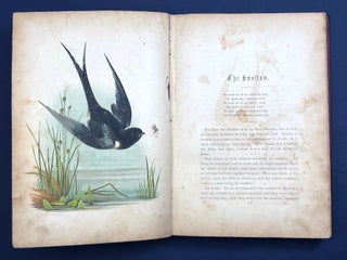 The Birds of the Bible (1854, color lithograph plates)