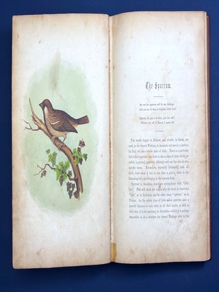 The Birds of the Bible (1854, color lithograph plates)