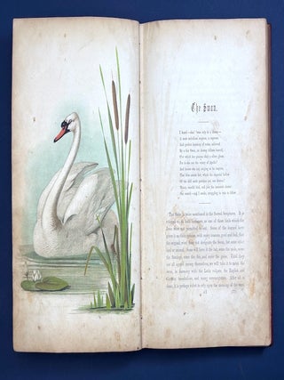The Birds of the Bible (1854, color lithograph plates)