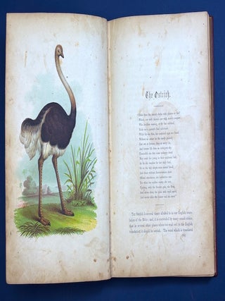The Birds of the Bible (1854, color lithograph plates)