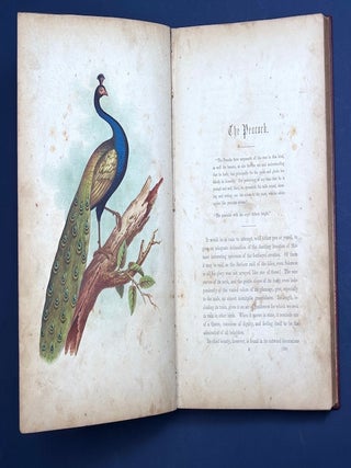 The Birds of the Bible (1854, color lithograph plates)