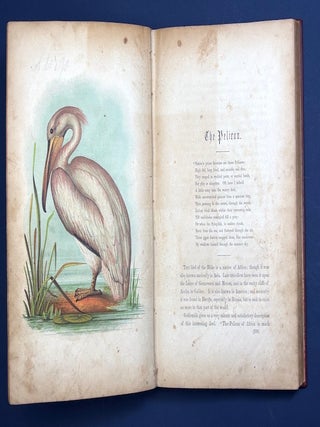 The Birds of the Bible (1854, color lithograph plates)
