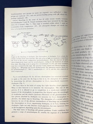 The Molecular Basis of Visual Excitation, Les Prix Nobel en 1967