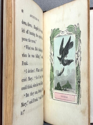 The Travels and Extraordinary Adventures of Bob the Squirrel