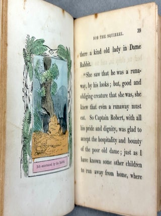 The Travels and Extraordinary Adventures of Bob the Squirrel