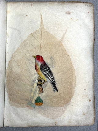 Early 20th century Indian book of paintings on actual peepal leaves