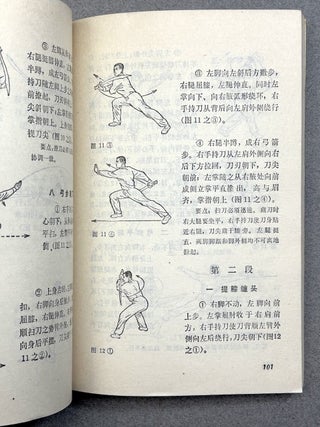 Elementary Martial Arts Routines (1976, in Chinese)