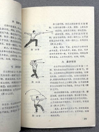 Elementary Martial Arts Routines (1976, in Chinese)
