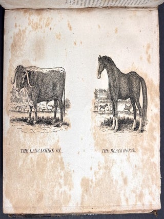 A General History of Birds and Quadrupeds