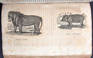 A General History of Birds and Quadrupeds