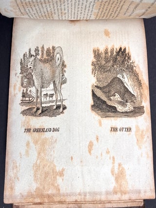 A General History of Birds and Quadrupeds