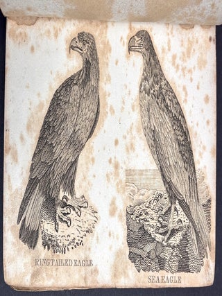 A General History of Birds and Quadrupeds