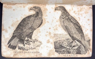 A General History of Birds and Quadrupeds